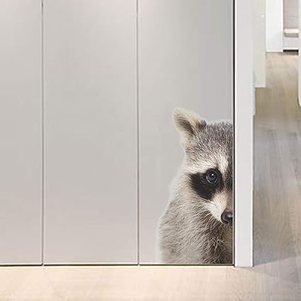 Amazon Com Gvgs Shop 1 Pc 3d Cat For Window Door Animals