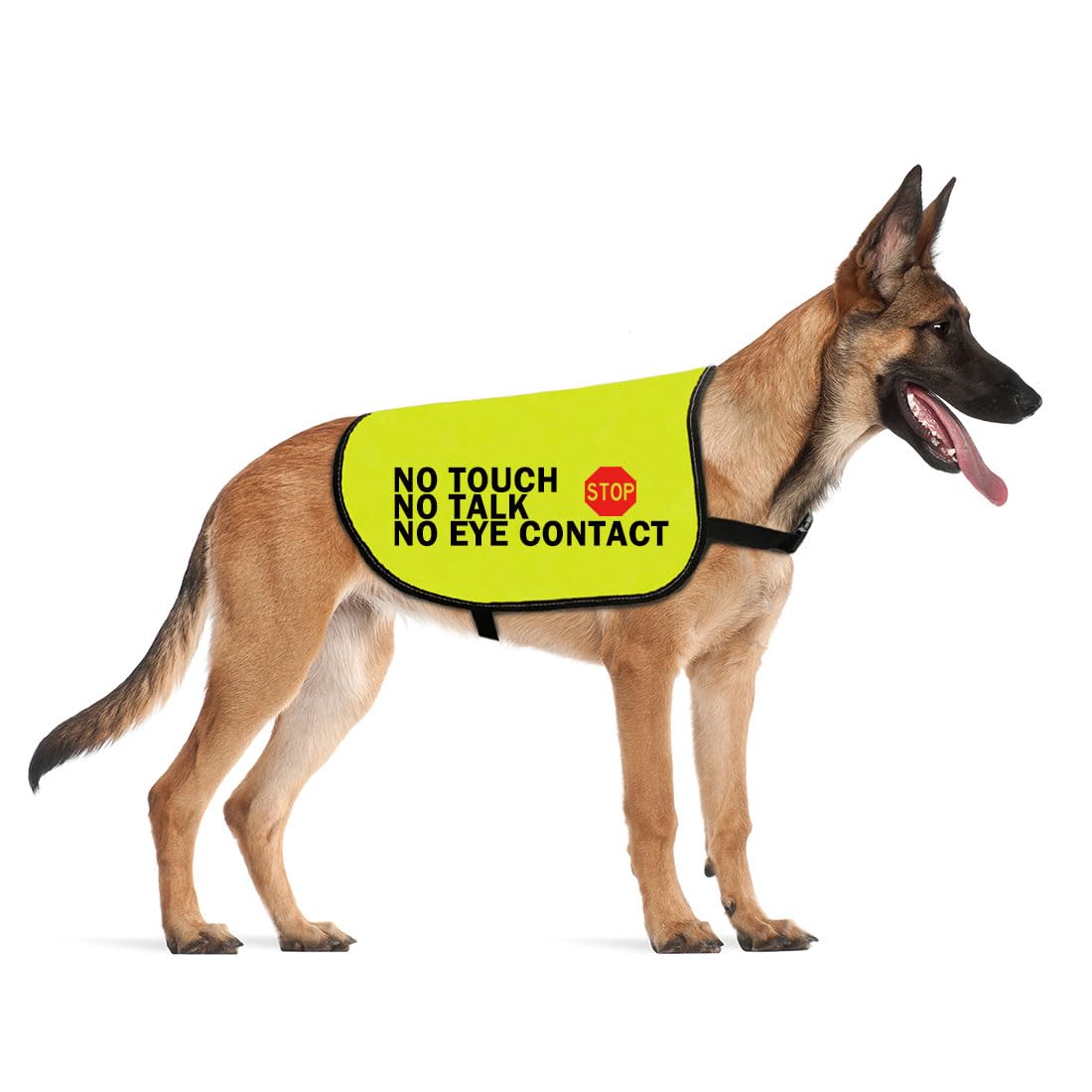 Nervous Dog Jacket Vest Service Dog Working Dog Anxious Dogs Scared Dogs Slogan Warning Vest (NO TOUCH Large)