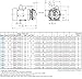 AMT Pump 368A-95 Straight Centrifugal Pump, Cast Iron, 1/3 HP, 1 Phase, 115/230V, Curve A, 3/4