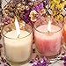 Hestya 100 Pieces Candle Wicks Pre-Waxed Wick with Candle Wick Centering Device for DIY Candle Making, 6 Inch and 8 Inch Long
