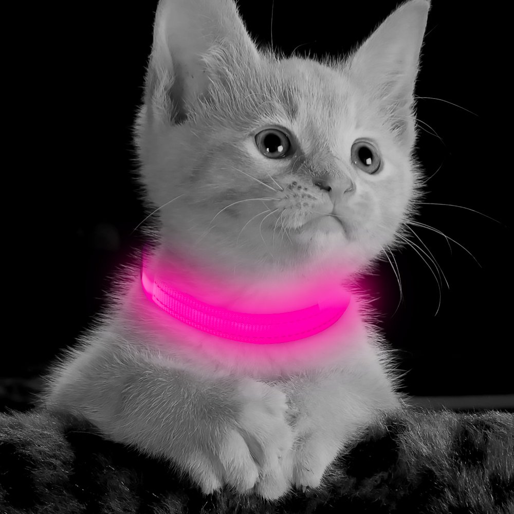 Clan_X Led Dog Collar, USB Rechargeable light up Pet Collar for small dogs, Glowing in the Dark Nylon Webbing Flashing Collar with Reflective Stitches Make Your Pets Visible & Safe (Pink)
