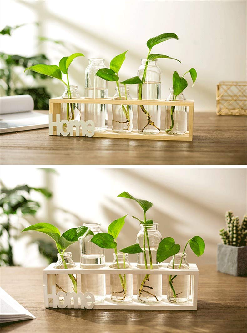 SUNRUNERS Bottel Light Glass Planter Hydroponics Terrarium with Wooden Stand for Home Office Decor Raw Wood 3 Terrarium