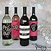 Big Dot of Happiness Girls Night Out - Bachelorette Party Gift For Women - Wine Bottle Label Stickers - Set of 4