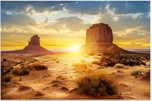 FILFEEL Aquarium Background Fish Tank Decorations Pictures PVC Adhesive Poster Underwater Sun and Desert Style Decoration Paper Cling Decals Sticker (91 * 41cm)