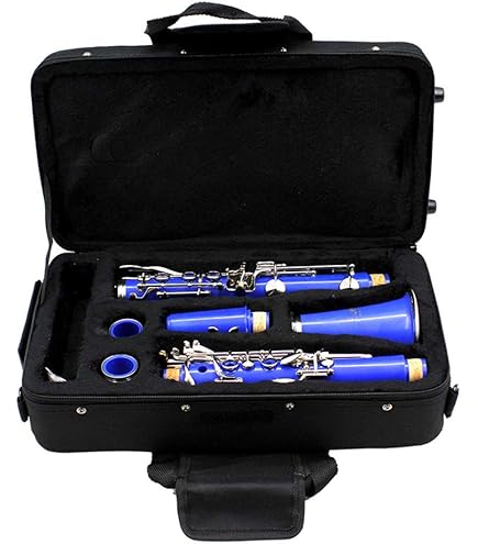 Clarinet ケース付き Amazon.com: Protec Zip Clarinet Case with Detachable Music