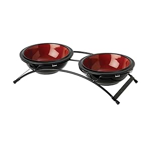 PetRageous 91457 2 Cups Black/Fire Red 3" H Buddy's Best Diner with 6" Bowls