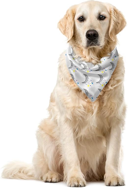 Orange Venue Gece Köpek Bandana, Aya Asılmış Parlayan Yıldızlı Duvar