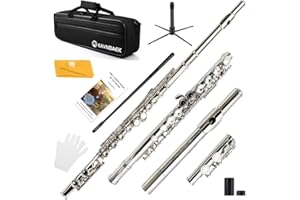Eavnbaek C Flutes Closed Hole 16 Keys Flute, for Beginner Kids Student Flute Instrument with Cleaning Kit, Stand, Carrying Case, Gloves, Tuning Rod (Nickel)