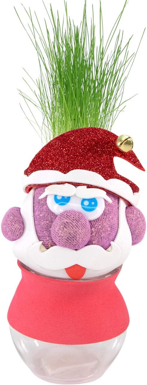 AvoSeedo Grass Head - Funny Fast Growing Grass Head Learning Toy for Kids (Santa Claus)