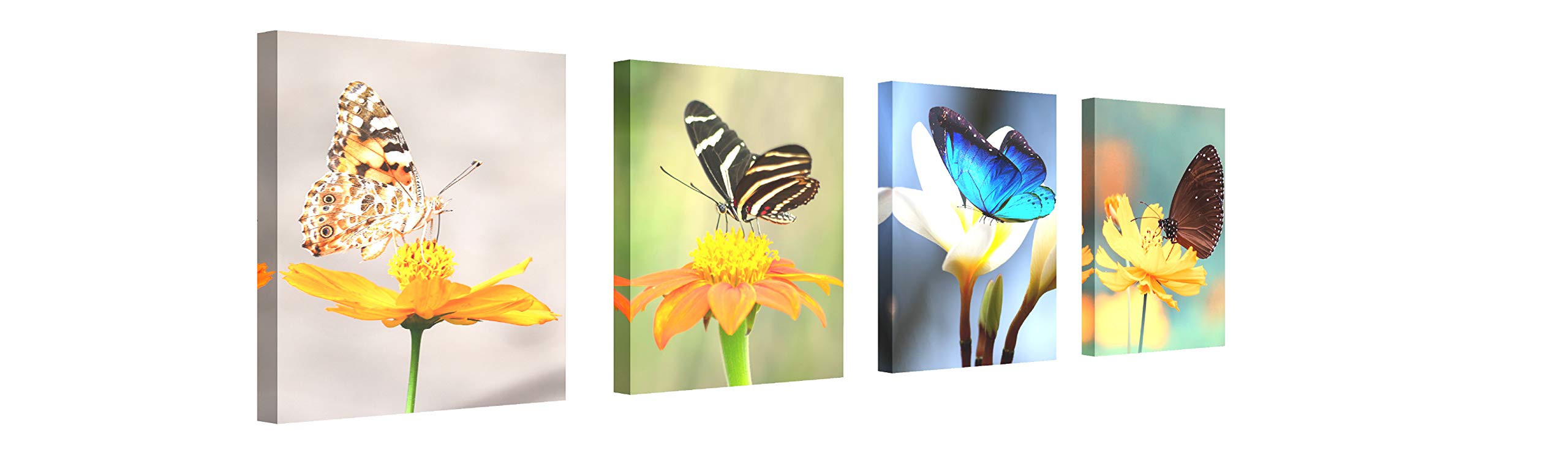 Canvas Wall Art for Living Room Butterfly on Flower Decor Painting Blooming Florals Pictures Print Decoration Artwork 12x16inch x4Pieces