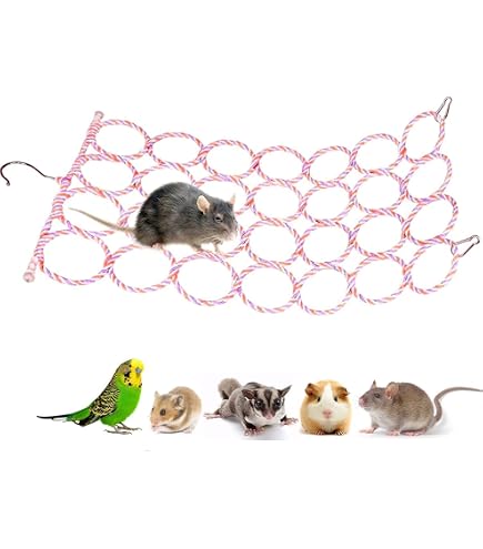 Kaytee Lava Ledge (6er Pack) – Kletter- & Nagelstein Für Nager Wie Chinchillas, Kaninchen