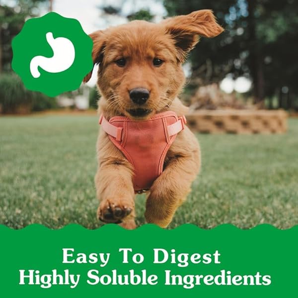 GREENIES VETERINARIAN-RECOMMENDED NATURAL DENTAL PUPPY TREATS PETITE SIZE, DENTAL TREATS FOR DOGS, 6 OZ. PACK, 10 COUNT