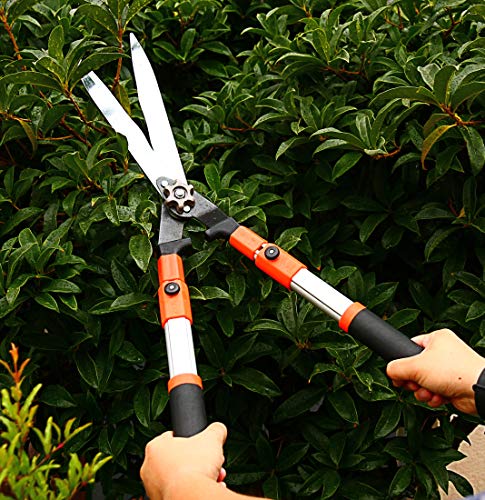 THANOS Hedge Shears,SK-5 Wavy High Carbon Steel Blades,Telescoping Aluminium Lightweight Handle,Pruning Shears,Garden Lopper for Trimming Borders,Boxwood,Pruning Clipper,Grass,Bushes,Loppers