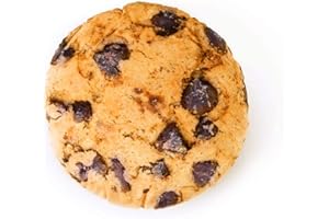 HYSEAS Round Throw Pillow 13.4 Inch Chocolate Cookie, 3D Digital Print Decorative Comfortable Soft Plush Funny Food Shaped Pillow Light Weight Seat Pad Cushion for Couch, Chair, Floor, Sofa