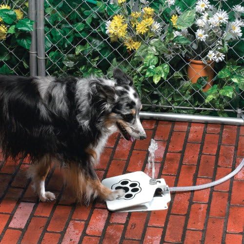 Sporer Pet Supplies Upgrade Dog Step Spray Paw Water Fountain Feeder Drinking Spring Pedal Water Feeder