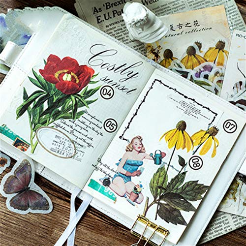 DIY Decorative Sticker, Natural Collection Series Washi Sticker for Album Diary Album Notebook Scrapbook Lifelog Cute Stationery Sticker, Pack of 60pc (#8)