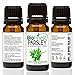 BioFinest Parsley Leaf Oil - 100% Pure Parsley Leaf Essential Oil -Help to Detox Body, Relieve Indigestion and Nausea - Premium Quality - Therapeutic Grade - Best For Aromatherapy - FREE E-Book (10ml)