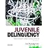 Juvenile Delinquency: Mainstream and Crosscurrents