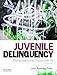 Juvenile Delinquency: Mainstream and Crosscurrents