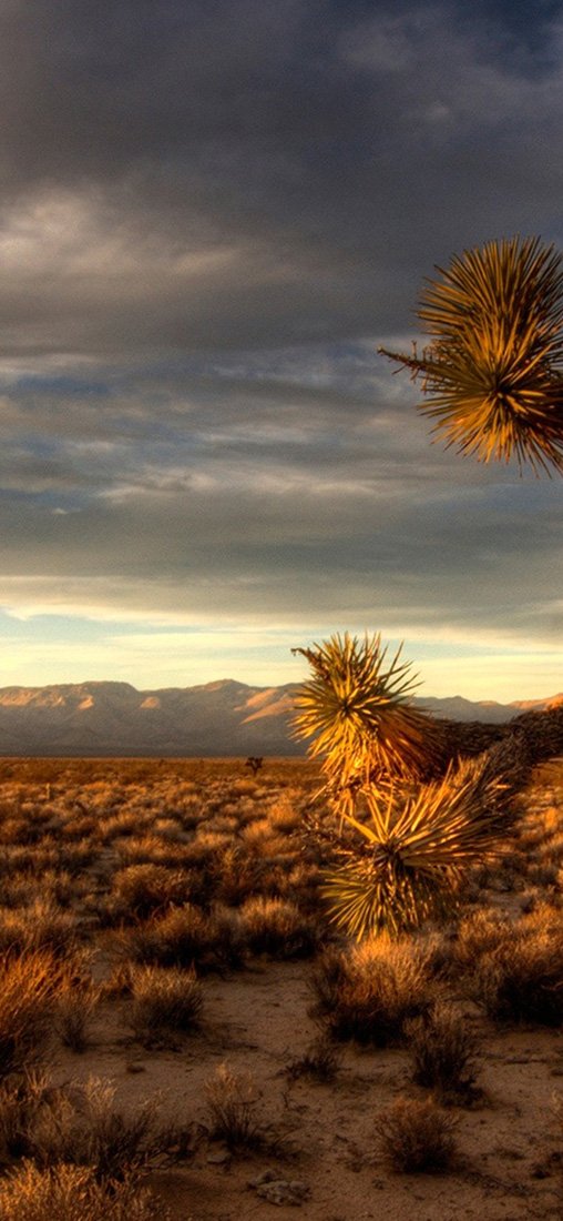 PeelitStickit, Beautiful Nature Wall Murals, ID-1051, vinyl