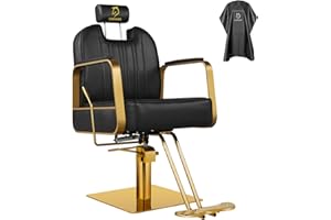 LUXMARS Barber Chair Salon Chairs for Hair Stylist Hydraulic Reclining Barber Chairs Adjustable Height and 360 Degree Swivel Tattoo Chair Salon Beauty Spa Chair Styling Equipment - Black