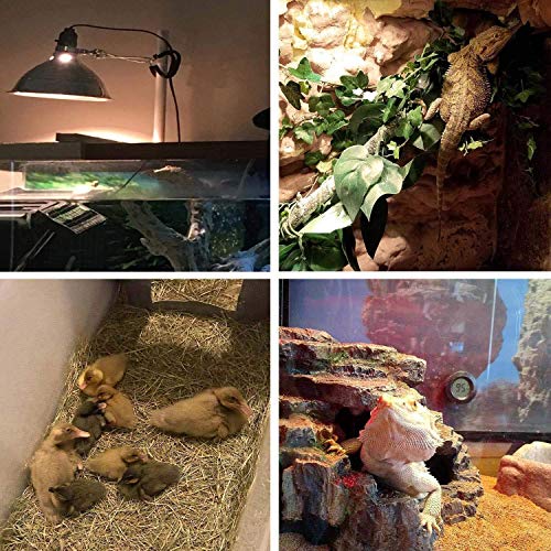OMAYKEY 75W Basking Spot Heat Lamp Bulb Soft White Glow UVA Glass Cover Heat Lamp/Bulb/Light for Lizard Chameleon Bearded Dragon Snake Aquarium Reptile & Amphibian - 2 Pack - Thumbnail 4