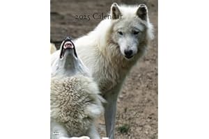 2025 Calendar: Wolves