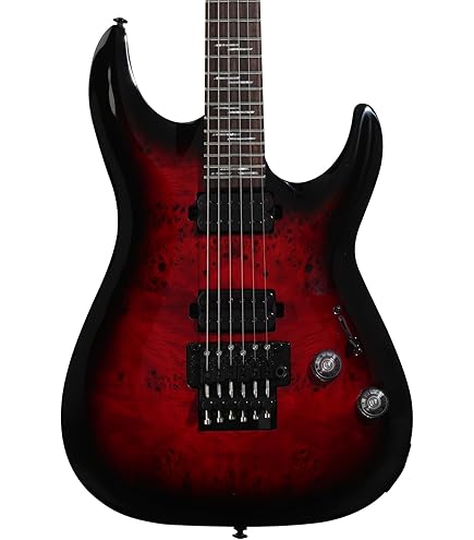 Amazon.com: Schecter Guitar Research Omen Extreme-6 FR Electric