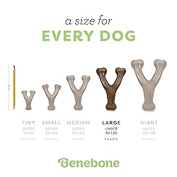 Benebone Wishbone Durable Dog Chew Toy for