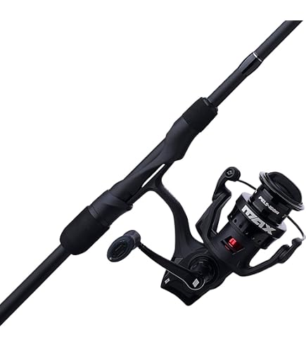 Abu Garcia Max SX Spinning Reel and Fishing Rod Combo Sports & Outdoors