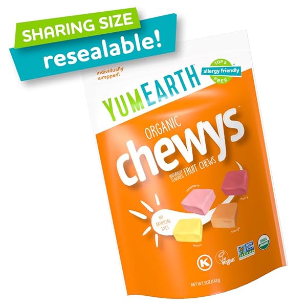 YUMEARTH ORGANIC FRUIT CHEWS – FRUIT FLAVORED CANDY CHEWS, NO DYE, ALLERGY FRIENDLY, GLUTEN FREE, NON-GMO, VEGAN CANDY WITH NO ARTIFICIAL DYES, 5 OUNCE