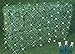 Commercial Grade LED Net Light Set, 4' X 6', Warm White, Green Wire, 100 Light     primary