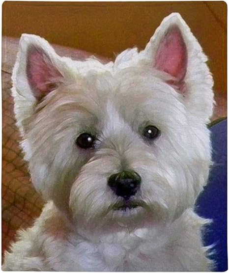 Westie blankets Clearance