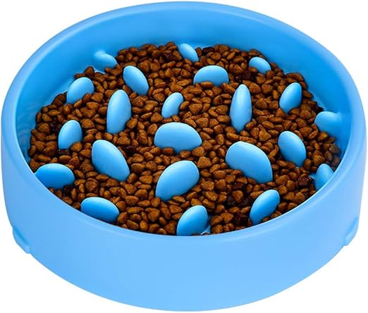 dog food bowl slow feeder