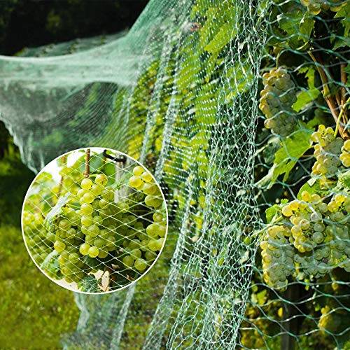 Vogelschutznetz 4 x 10 m Grünes Vogelnetz Teichnetz Baumnetz für Pflanzenschutz Gartennetz Obstbaumnetz Erbsenetz mit 30… – Bild 7
