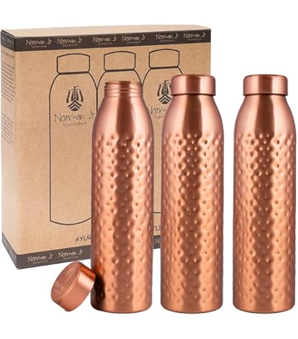 Amazon.com: Stainless Steel Inside Copper Outside Steel Water