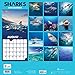 2018 Sharks Wall Calendar