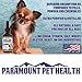 Paramount Pet Health Liquid Glucosamine for Small Dogs, 260mg Glucosamine Liquid for Dogs Joint Supplement for Mobility & Comfort, Easy-to-Use Liquid MSM & Chondroitin, 2 oz