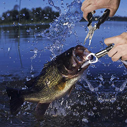 JOLIGAEA Angelzange, T-Typ Separator für Angelhaken, Fisch Greifer, 3 Stück Multifunktionales Edelstahl Angel Werkzeug… – Bild 7