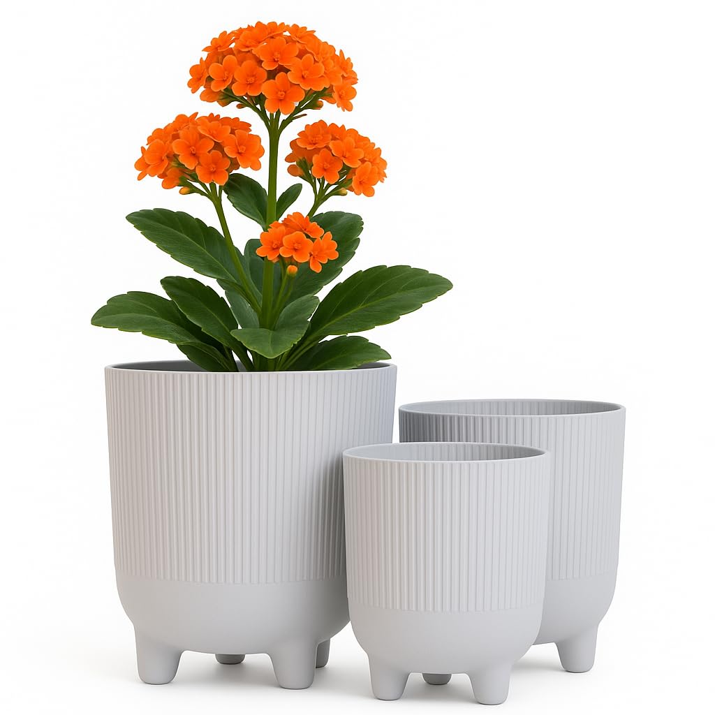 Home Garden Ornaments Trio Plant Pots Indoor – Set of 3 (14cm, 16cm, 18cm) Decorative Indoor Plant Pot on Stands, Flower Pots on Legs (Colour: Grey)