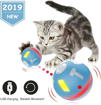 cat entertainment toys