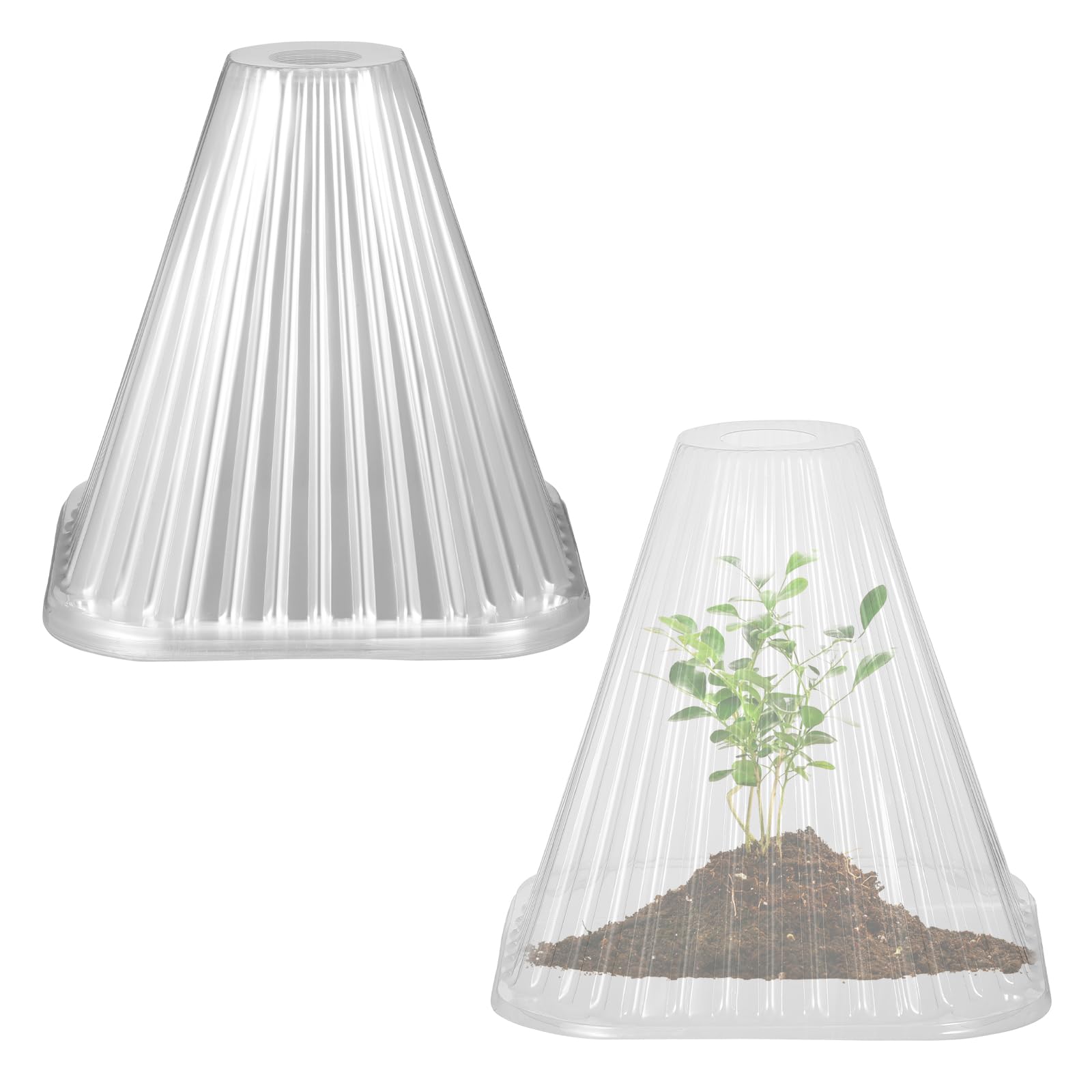 Coolty 20pcs Garden Plant Cloches, Transparent Plant Cover Reusable Mini Greenhouse for Protection Against Sun, Snow, Frost, Snails, Birds, Chickens, Insect Etc (Clear)