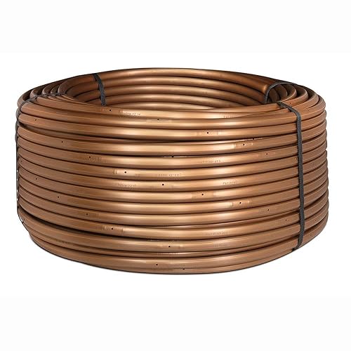 Rainbird XFS0612500 0.6 GPH 12