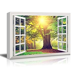 Creative Window View Sunrays Through Beautiful Tree