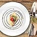 Lillian Tablesettings Premium Quality Heavyweight Plastic Plates China Like. Wedding and Party Dinnerware Plastic Plates 9 inch, White Pearl - Value Pack 30 Count