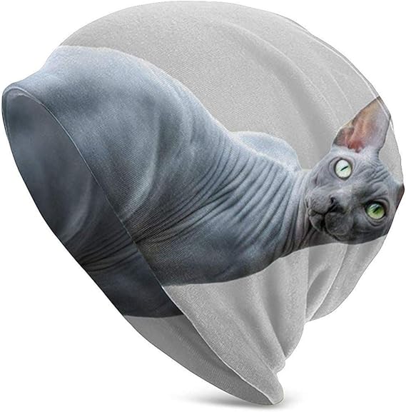 chat bonnet