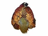 Complete Natural Ringneck Pheasant Skin Pelt