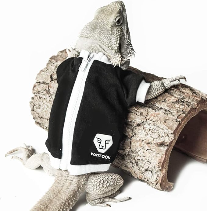 bearded dragon hoodie