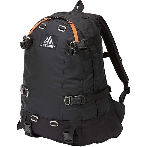 Amazon.com | Gregory (Day Pack) official Black Backpack