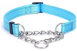 Pimaodog Martingale Dog Collar with Stainless Steel Chain, Martingale Collar with Reflective, Adjustable for Medium Large Dogs (L, Light Blue)
